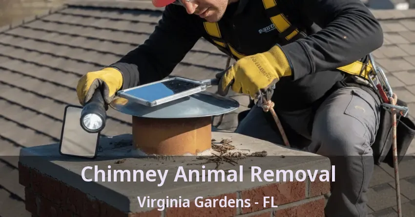 Chimney Animal Removal Virginia Gardens - FL