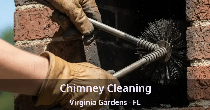 Chimney Cleaning Virginia Gardens - FL