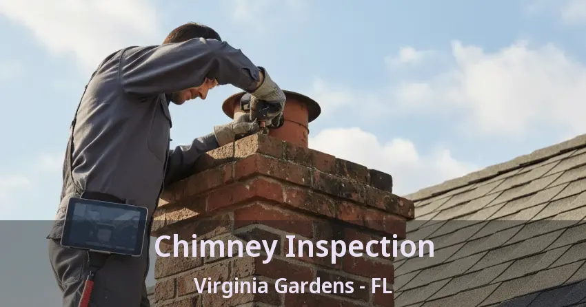 Chimney Inspection Virginia Gardens - FL