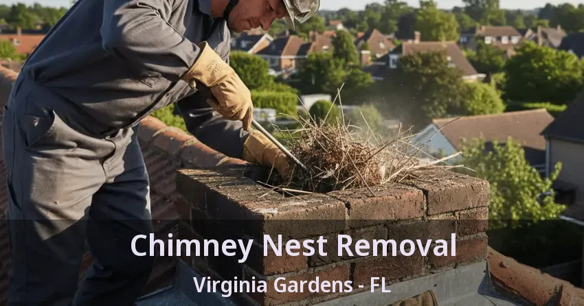 Chimney Nest Removal Virginia Gardens - FL
