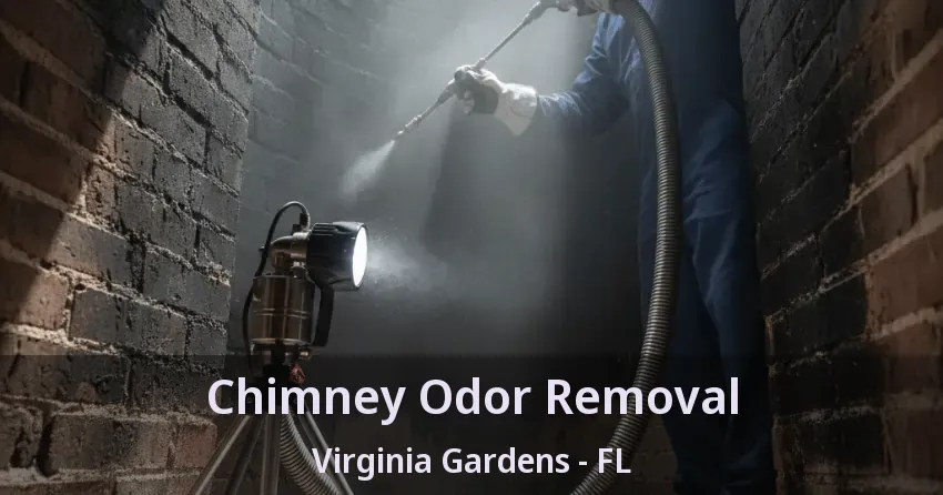 Chimney Odor Removal Virginia Gardens - FL