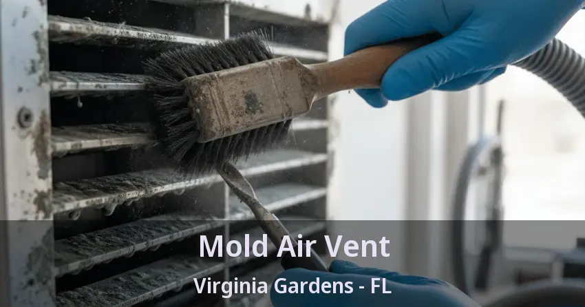 Mold Air Vent Virginia Gardens - FL