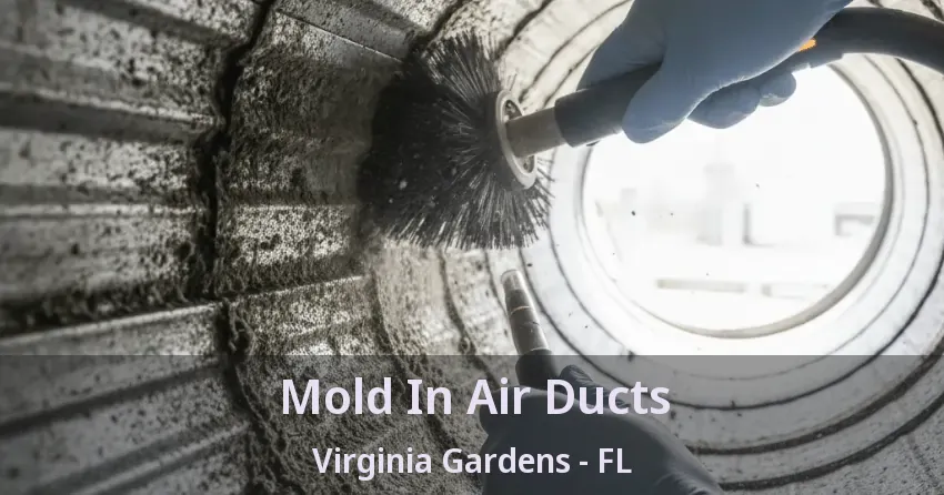 Mold In Air Ducts Virginia Gardens - FL