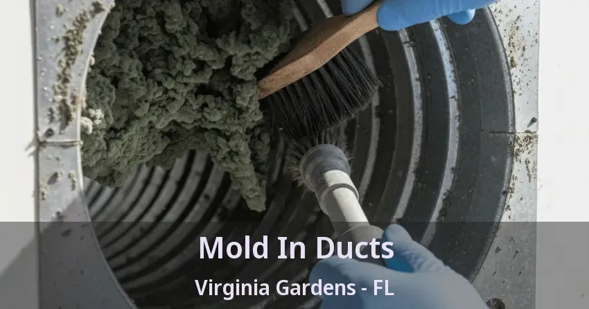 Mold In Ducts Virginia Gardens - FL