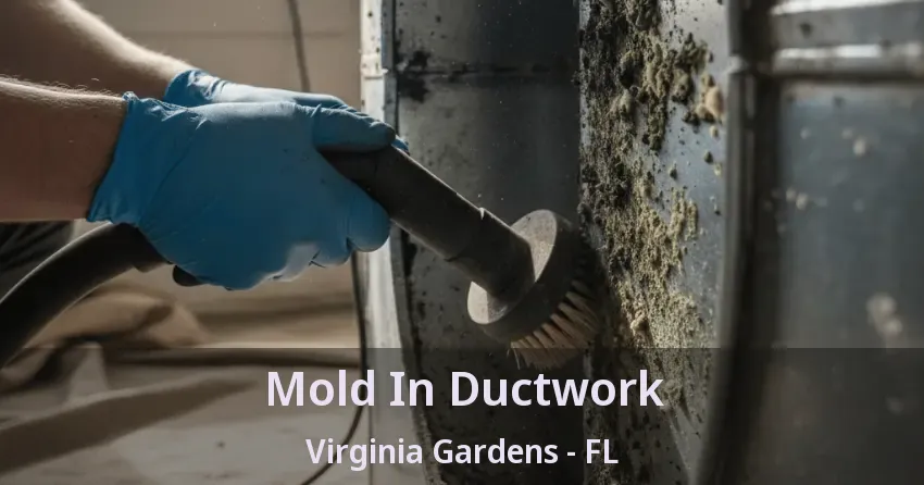 Mold In Ductwork Virginia Gardens - FL
