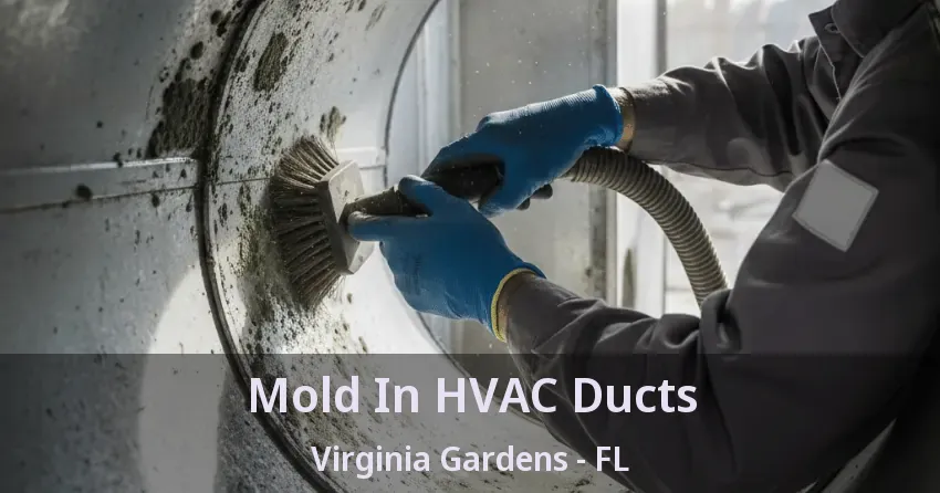 Mold In HVAC Ducts Virginia Gardens - FL