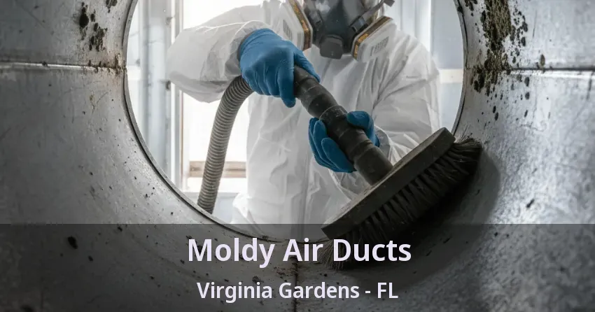 Moldy Air Ducts Virginia Gardens - FL